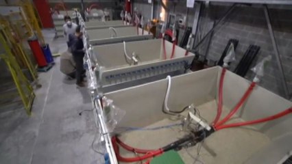 Energia, Delfanti: dalla ricerca soluzioni per i cittadini