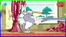 The Tom and Jerry Show Episode 1 Cartoon - Mouse & Cat Fun Joy Entertainment - Fun for Everyone