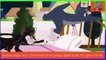 The Tom and Jerry Show Episode 10 Cartoon - Mouse & Cat Fun Joy Entertainment - Fun for Everyone