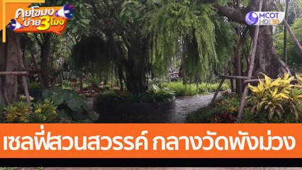 เซลฟี่สวนสวรรค์ กลางวัดพังม่วง สุพรรณบุรี(28 ก.ค. 65) คุยโขมงบ่าย 3 โมง