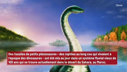 Le monstre du Loch Ness pourrait être un dinosaure !