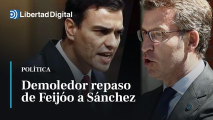 Demoledor repaso de Feijóo a Sánchez, mes a mes