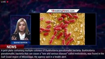 CDC Warns Of Potentially Deadly Bacteria Found In US Soil And Water For First Time - 1breakingnews.c