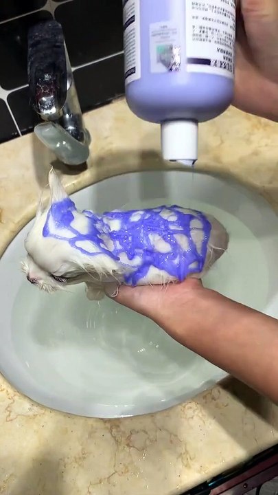 A great way to be pretty is to have a bath.