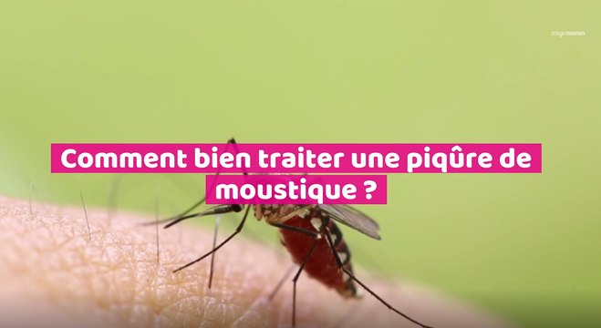Les remèdes contre les piqûres de moustiques