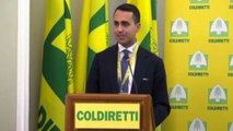 Di Maio: crisi fa perdere tempo all'Italia e terreno a partiti