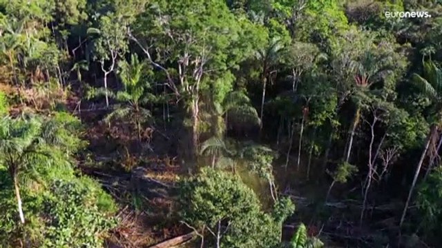 28 июля — день перерасхода биоресурсов Земли 2022 года