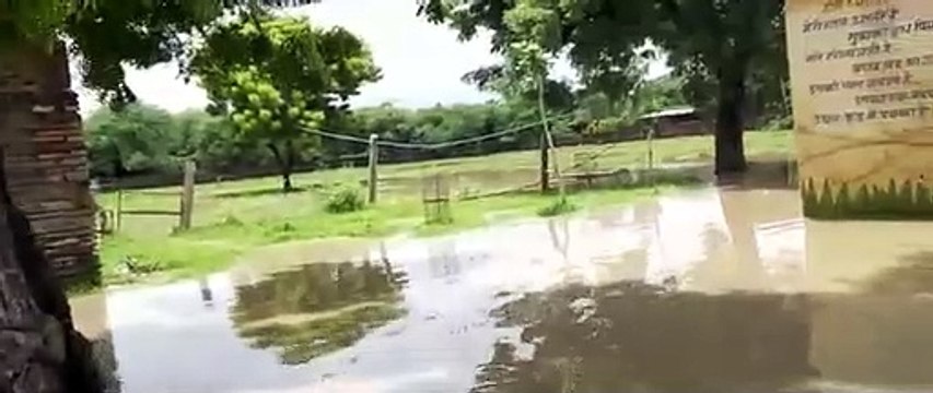 Video : मालीपुरा उच्च प्राथमिक विद्यालय के छात्र-छात्राएं को घुटनों तक पानी पारकर पहुंचना पड़ रहा है कक्षा कक्ष में