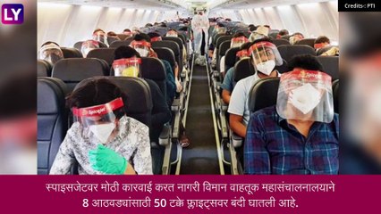 SpiceJet: स्पाइसजेटवर डीजीसीएची मोठी कारवाई, पुढील आठ आठवडे फक्त 50 टक्केच उड्डाणे