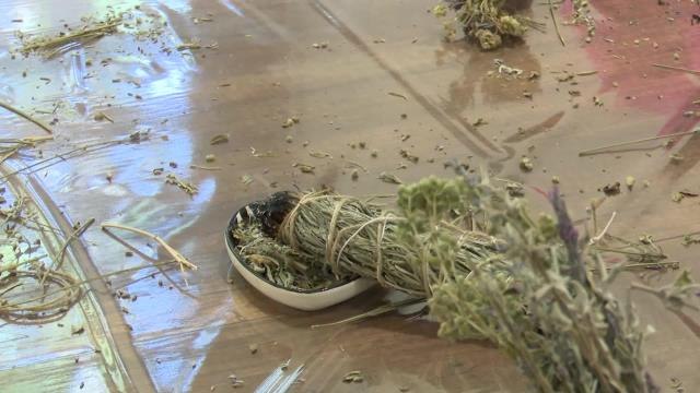 Antalya Büyükşehir'in Çevre Eğitim ve İnovasyon Merkezi'nde Çalışmalar Devam Ediyor