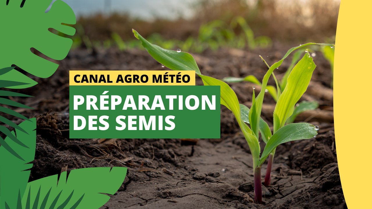 Canal Agro Météo : Préparation des semis