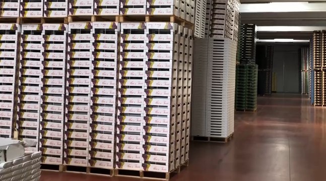 Vittoria (RG) - La mafia degli imballaggi dell'ortofrutta: confisca da 23 milioni a imprenditore della Stidda (28.07.22)