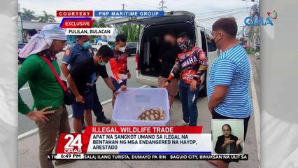 Apat na sangkot umano sa ilegal na bentahan ng mga endangered na hayop, arestado | 24 Oras