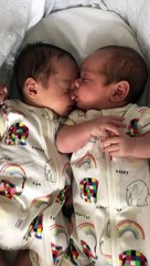 Twin Brother Goes for the Nose