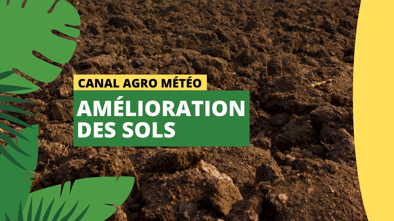 Canal Agro Météo : Amélioration des sols