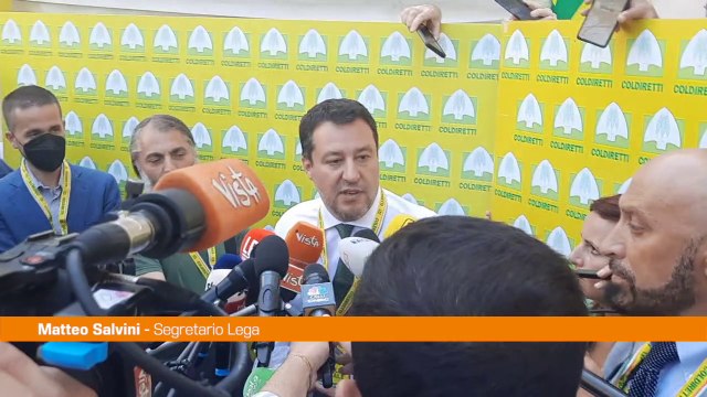 Salvini Dal centrosinistra nervosismo e fake news