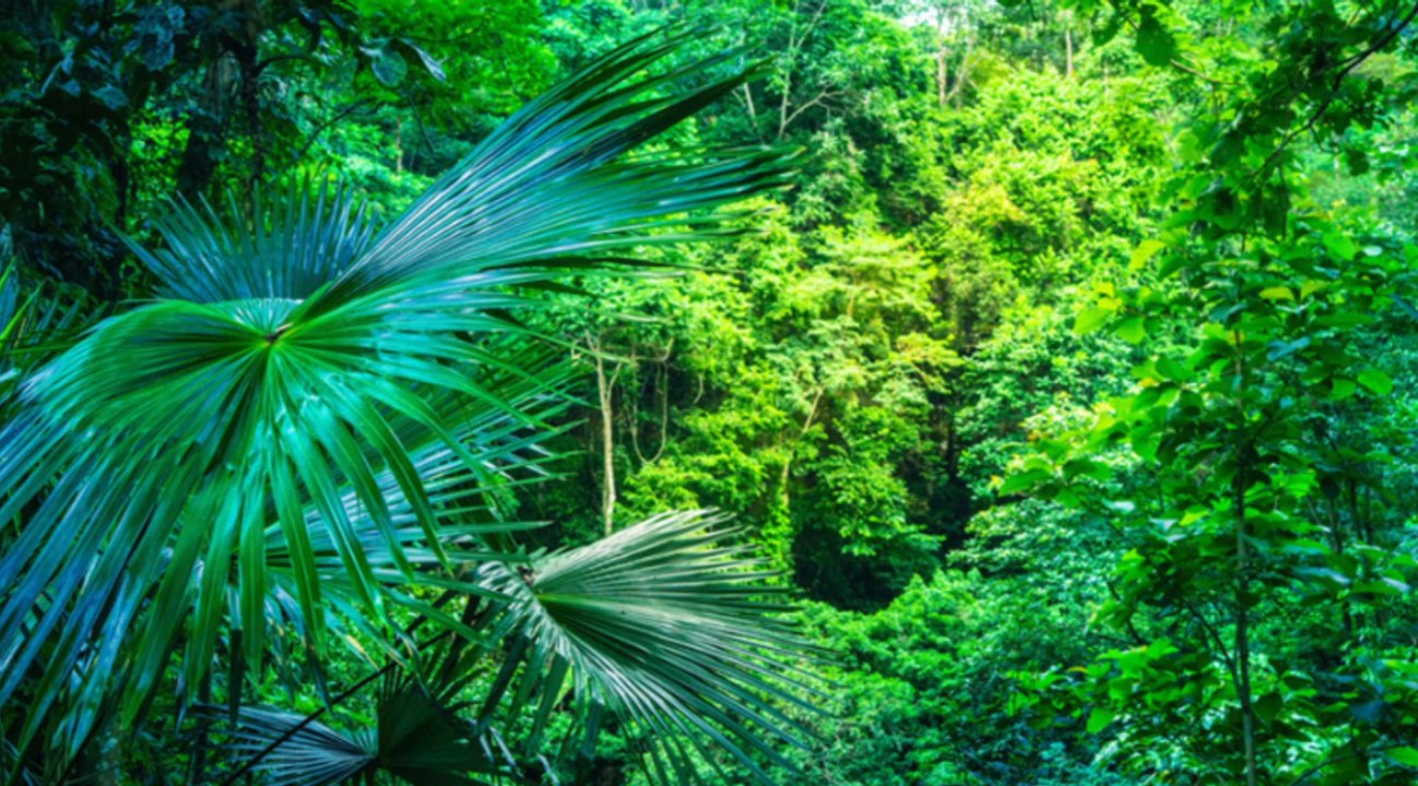 An diesen orten ist kaum leben möglich