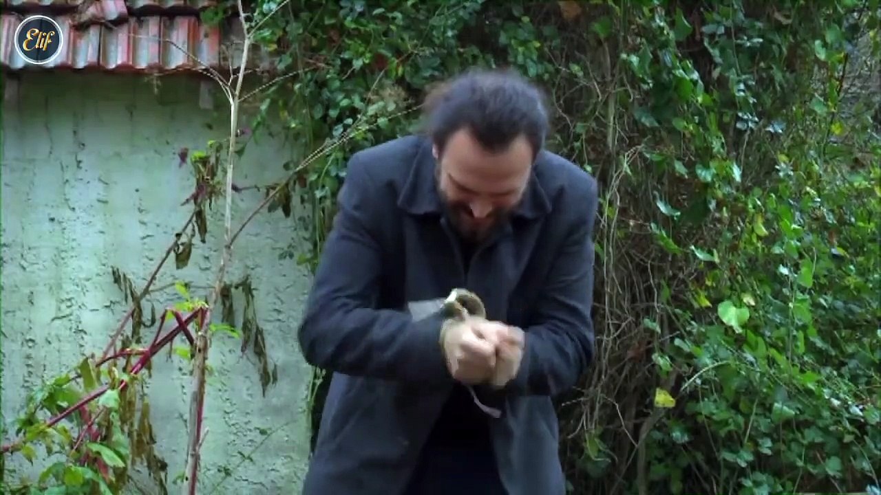 Elif - 241.Bölüm