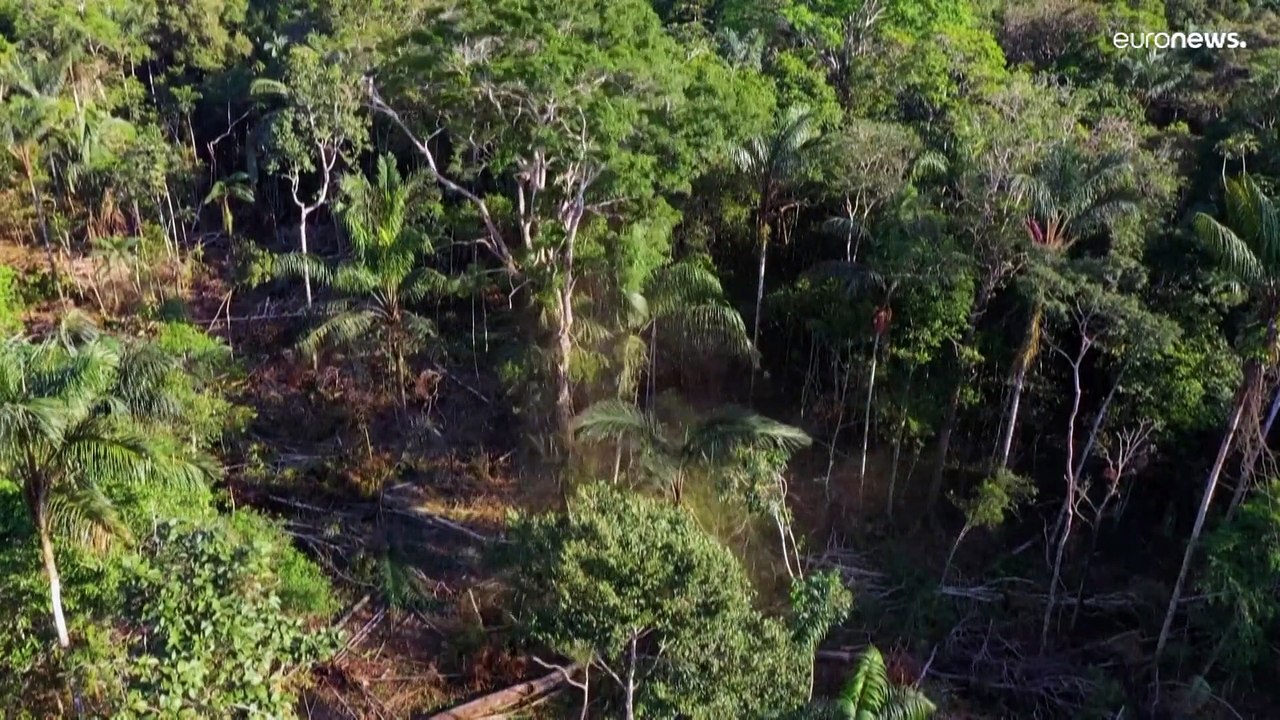 Earth Overshoot Day: Natürliche Ressourcen für dieses Jahr verbraucht