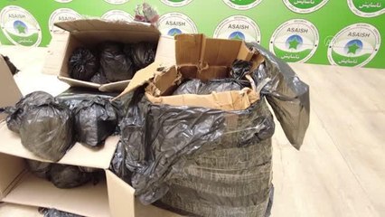 SÜLEYMANİYE - 149 kilogram uyuşturucu ele geçirdi