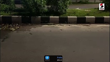 વડોદરામાંથી 24 કલાકમાં ત્રણ મગર દેખાતા રહીશોમાં ભય