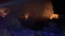 San Michele del Carso (GO) - Riprende vigore l'incendio vicino abitazioni: evacuate 200 persone (28.07.22)