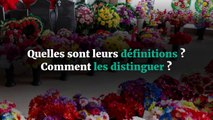 Crémation et incinération : quelle est la différence ?