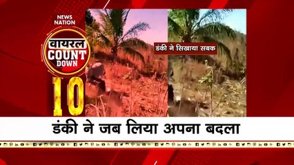 Viral CountDown Top 10 : जब Donkey ने लिया युवक से अपना बदला