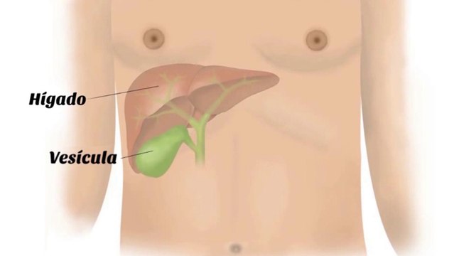 bd-piedras-en-la-vesicula-280722