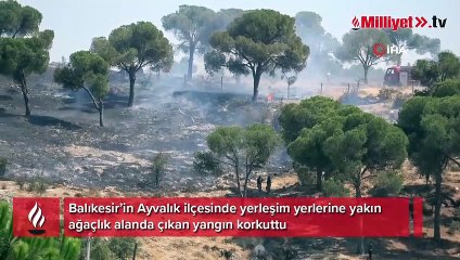 Ayvalık’ta korkutan orman yangını