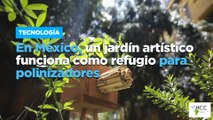 En México, un jardín artístico funciona como refugio para polinizadores