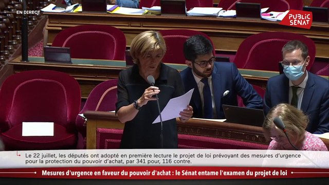 Frédérique Puissat défend un allègement des cotisations patronales sur les heures supplémentaires