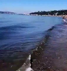 Aereo cade sulla spiaggia negli USA - a plane has crashed into the ocean in Alki Beach WA #seattle #washington