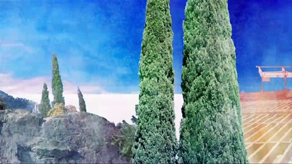 Сваты.s04.E15.(2010)