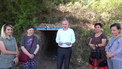 Sokak canlıları için doğal yaşam alanları oluşturuldu