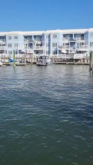 Big Rig Boat Cruises By