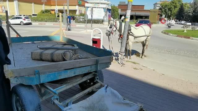 Başıboş at trafiği altüst etti... Araç sahipleriyle atın sahibi arasında tartışma çıktı