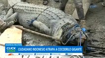 ¡Increíble! Hombre capturo a cocodrilo de 4 metros con sólo una cuerda
