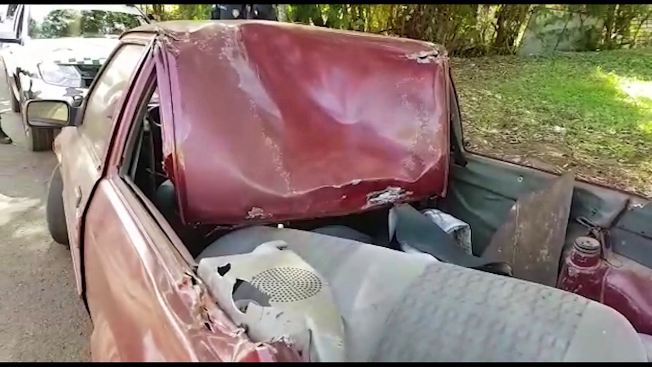 Defesa Civil realiza retirada de enxame de abelhas no Bairro Santa Cruz