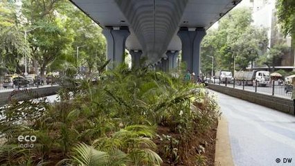 Reclaiming green space in Mumbai