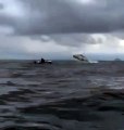 Baleia jubarte é flagrada saltando no mar de Paraty; veja o vídeo