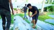 Cooling cities with urban farming in India