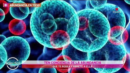 Cómo manifestar y atraer la abundancia a tu vida: Martha Sánchez Navarro
