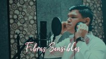 Banda Carnaval - Fibras Sensibles