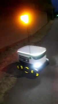 Helping a Grocery Delivery Bot Get Across Street Safely