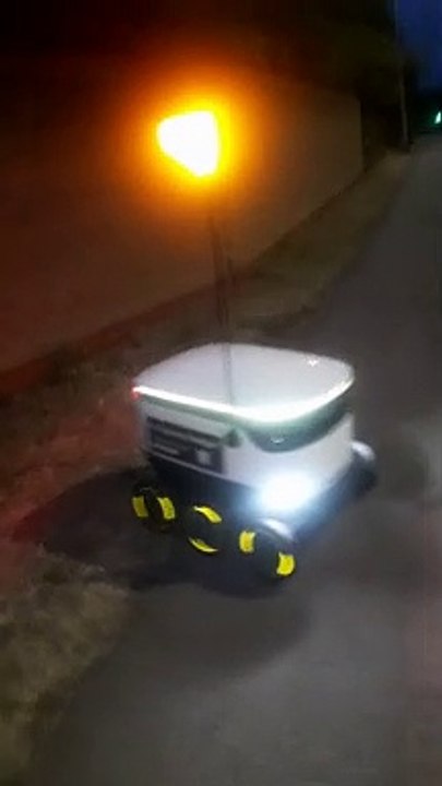 Helping a Grocery Delivery Bot Get Across Street Safely