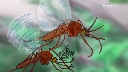 Possiamo controllare il pianeta? Morgan Freeman. Documentario