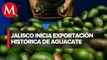 ¡Histórico! México inicia exportación de aguacate Hass de Jalisco a Estados Unidos