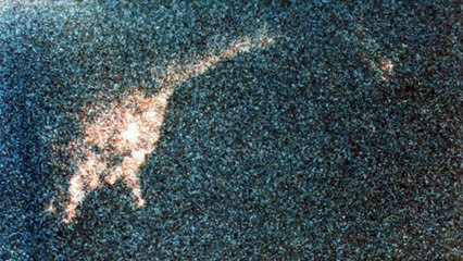 Monstro do Lago Ness pode ter existido? Pesquisa indica que sim