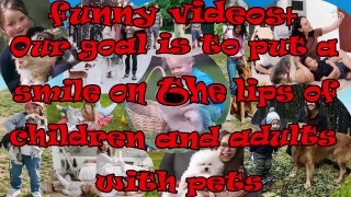 Cute cats and dogs with children and adults